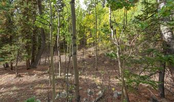 452 QUARTZVILLE Rd, Alma, CO 80420