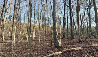 0009 SPRINGHOLLOW Rd Lot 9, Ashville, AL 35953
