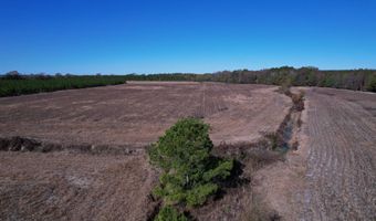 53 86 Acres-TBD Pate Rd, Bishopville, SC 29010