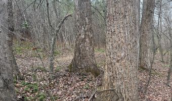 HARDWARE RD lot C2, Arvonia, VA 23004
