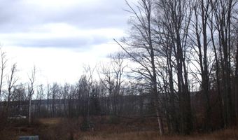 2327 McMichael Rd, Alanson, MI 49706