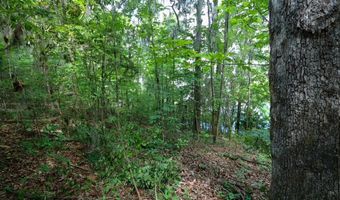 Lot 10 Booster Club Road, Bainbridge, GA 39819