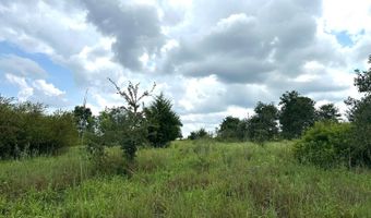 0001 E 1960 Rd, Antlers, OK 74523