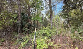 COUNTY ROAD 445A, Astor, FL 32102