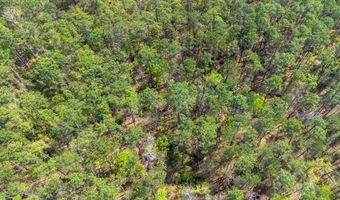 Beardsley Drive lot 58, Bainbridge, GA 39819
