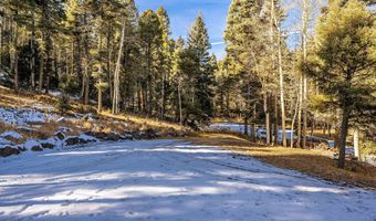 11 Apache Cir, Angel Fire, NM 87710