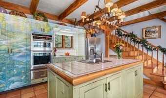 927 Red Mountain Rd, Aspen, CO 81611