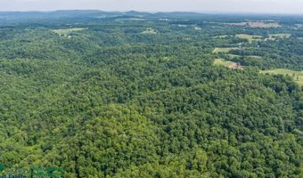 Tract # 16 Willis Creek, Albany, KY 42602