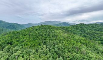 399 Shell Stand Rd, Almond, NC 28702
