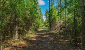 43 5 +/- A Old River Rd, Baker, FL 32531