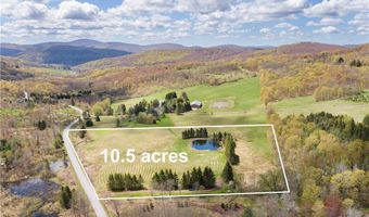 2157 New Rd, Bovina, NY 13740