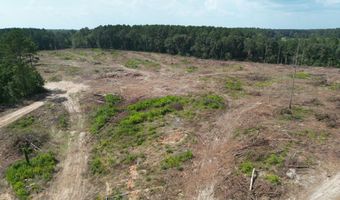 SE Cole Drive, Bogue Chitto, MS 39629
