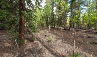 452 QUARTZVILLE Rd, Alma, CO 80420