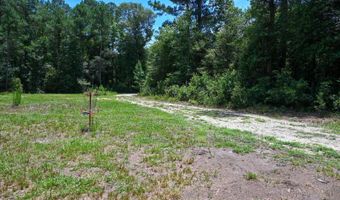 Rooks Road, Atkinson, NC 28421
