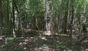 Old Greenwood Highway, Abbeville, SC 29620