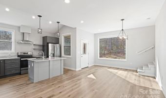 24 Lower Grassy Branch Rd, Asheville, NC 28805