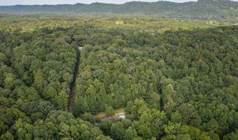 160 Mill Hill Rd, Attalla, AL 35954