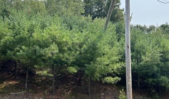 36 Grimstone Dr, Belmont, NH 03220