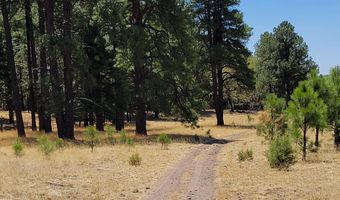 Tbd STONE CREEK RD CR 2117, Alpine, AZ 85920
