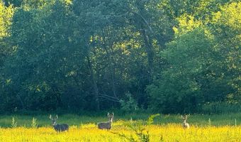 TBD Bear Pen Rd, Arkansaw, WI 54721