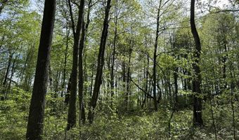 TBD McNair Road, Albright, WV 26519