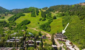 809 S Aspen St 8, Aspen, CO 81611