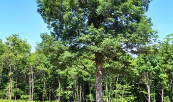 Tower Hill Rd, Appomattox, VA 24522