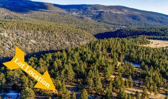 66 Mora Ranch Rd, Angel Fire, NM 87710