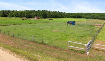 8445 HAINES, Alanson, MI 49706