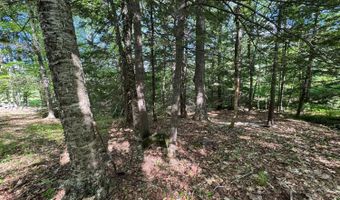 Peaked Hill Road, Bristol, NH 03222