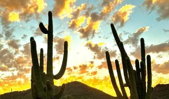 36975 N Sunset Trl, Cave Creek, AZ 85331