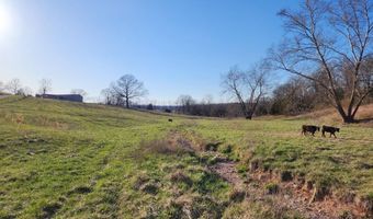 12510 Cr 503 503-A, Ava, MO 65608