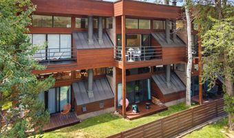 311 S Aspen St Unit 5, Aspen, CO 81611