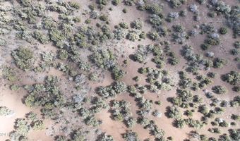 5079 N Pineveta Rd, Ash Fork, AZ 86320