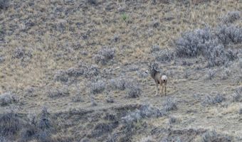 TBD Iron Mountain Rd, Chugwater, WY 82210