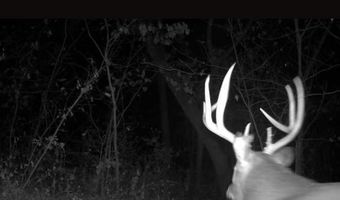 7330 Roberts Rd, Arena, WI 53503