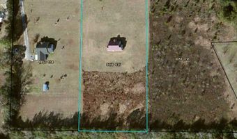 94 Burnett Rd, Adel, GA 31620