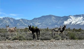 91 Aspen Road 095-01-710-007, Cold Creek, NV 89124