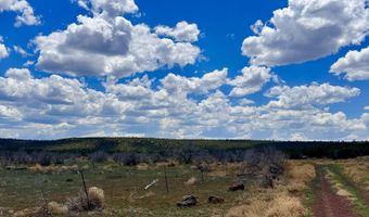 13 County Rd 8122, Concho, AZ 85924