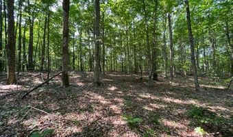 10 97 AC H R Huffer Ln, Allons, TN 38541