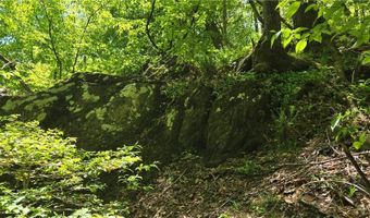 Goose Creek Lane, Ararat, VA 24053