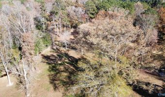 513 Rabbittown Rd, Albertville, AL 35950