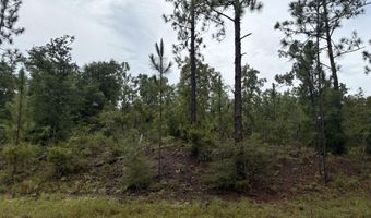 Odum Street lot 29, Alford, FL 32420