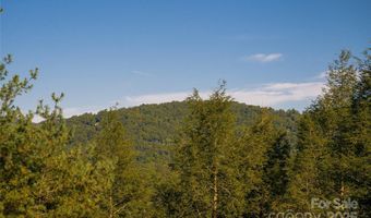 79 Horizon Hill Rd, Asheville, NC 28804