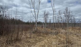 TBD40 Township Road 5743, Alborn, MN 55702