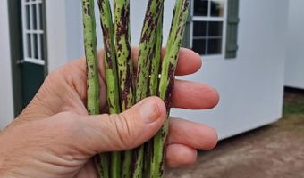 4775 S 50th Rd, Aldrich, MO 65601