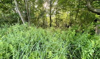 1143 38th St, Allegan, MI 49010