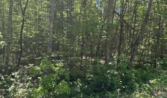 Washington Street lot 33 34 35, Barrington, NH 03825