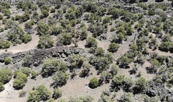 425 N 8051, Concho, AZ 85924