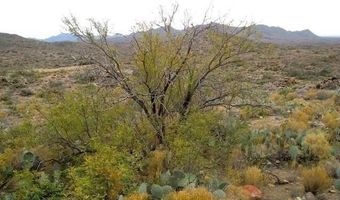 S Bent Spur Road, Congress, AZ 85332